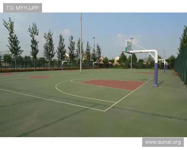 南宫体育公园的历史背景与发展历程，了解城市体育文化的深厚底蕴