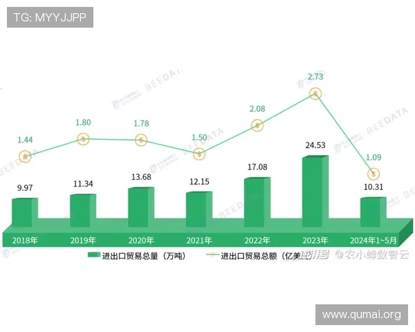 南宫壹号国际：未来发展规划与行业趋势对接的战略布局