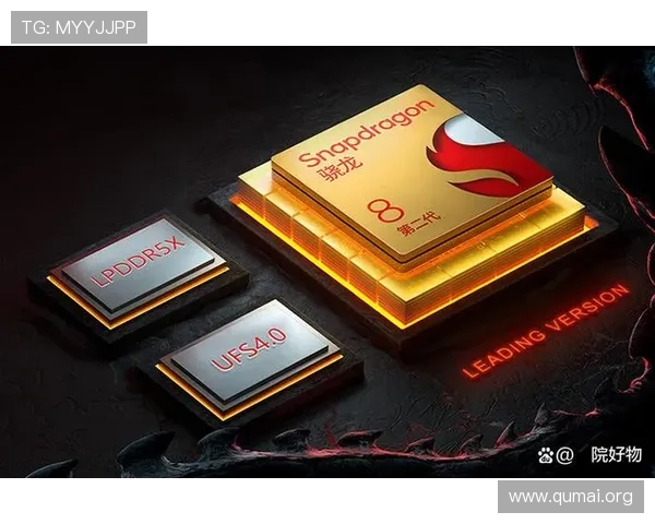 c7壹号南宫哪个更具性价比帮助玩家做出明智选择的详细指南